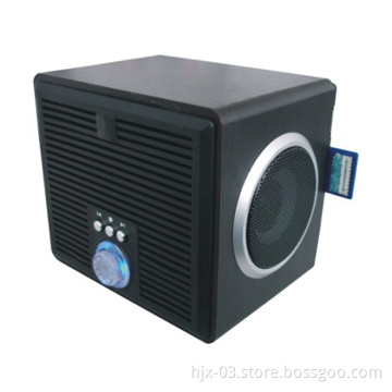 SD Card and U-disk Wooden Speaker